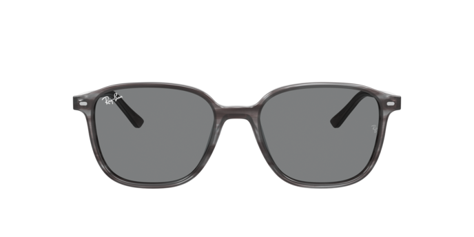 Rayban 2193 LEONARD 1314B1 360 visione