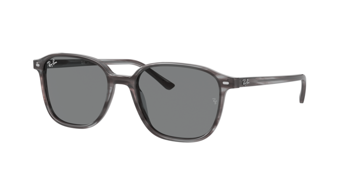 Rayban 2193 LEONARD 1314B1 360 visione