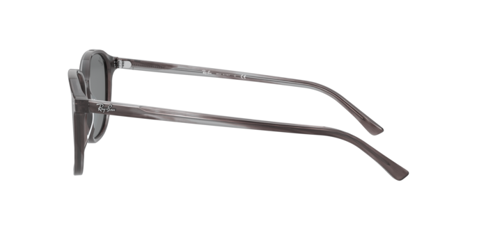 Rayban 2193 LEONARD 1314B1 360 visione
