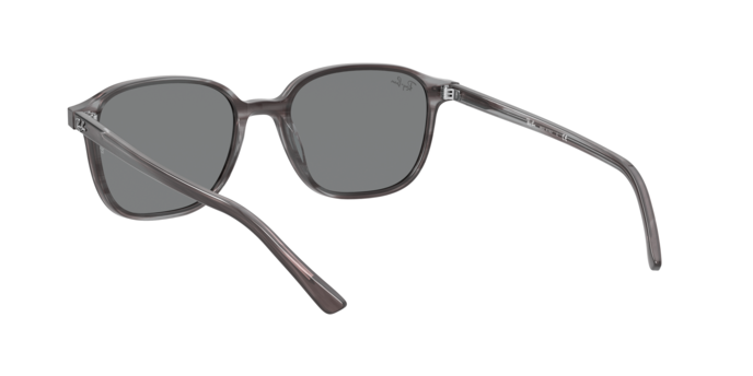 Rayban 2193 LEONARD 1314B1 360 visione