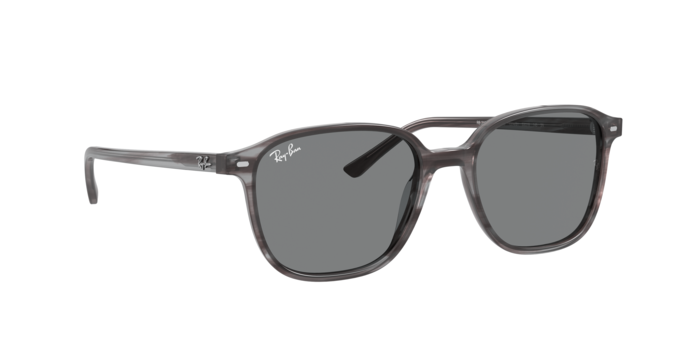 Rayban 2193 LEONARD 1314B1 360 visione