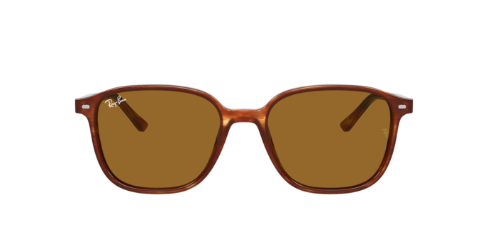 Rayban 2193 LEONARD 954/33 360 visione
