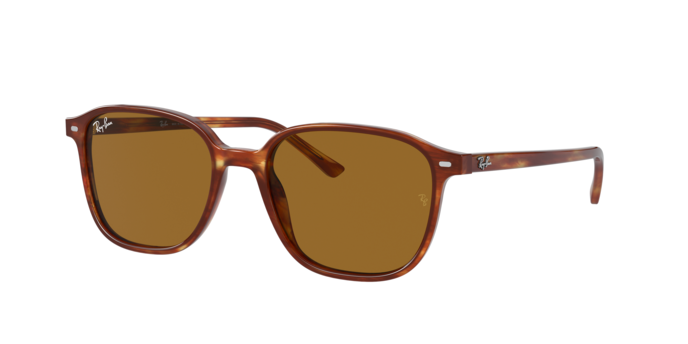 Rayban 2193 LEONARD 954/33 360 visione