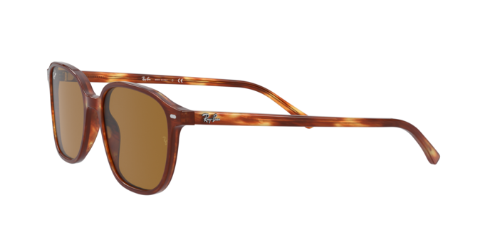 Rayban 2193 LEONARD 954/33 360 visione