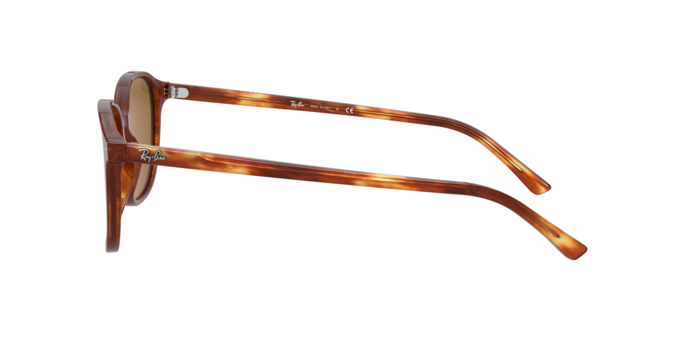 Rayban 2193 LEONARD 954/33 360 visione