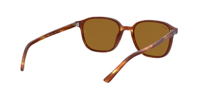 Rayban 2193 LEONARD 954/33 360 visione