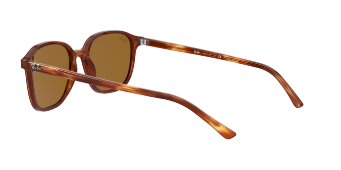 Rayban 2193 LEONARD 954/33 360 visione