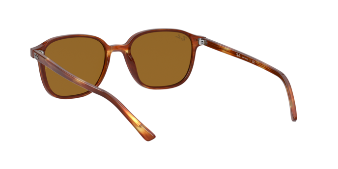 Rayban 2193 LEONARD 954/33 360 visione