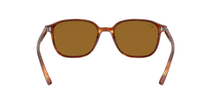 Rayban 2193 LEONARD 954/33 360 visione