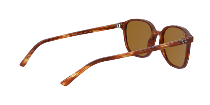 Rayban 2193 LEONARD 954/33 360 visione