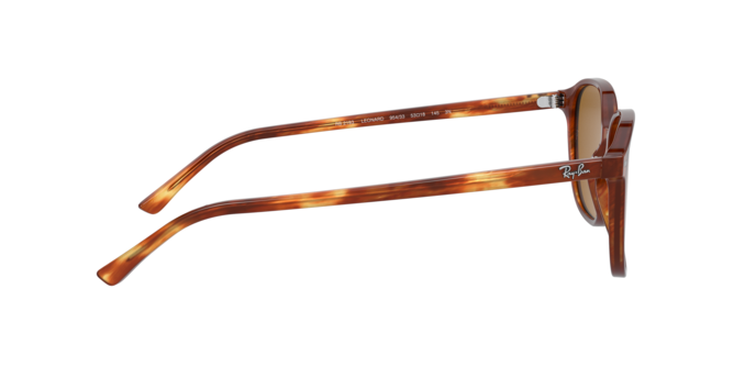 Rayban 2193 LEONARD 954/33 360 visione
