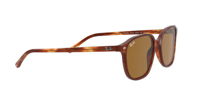 Rayban 2193 LEONARD 954/33 360 visione