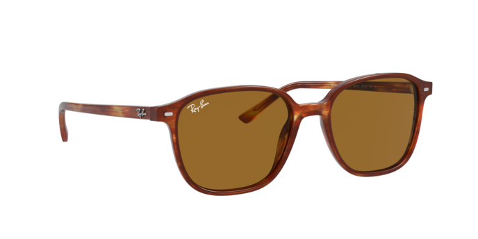 Rayban 2193 LEONARD 954/33 360 visione