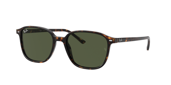 Rayban 2193 LEONARD 902/31 360 visione
