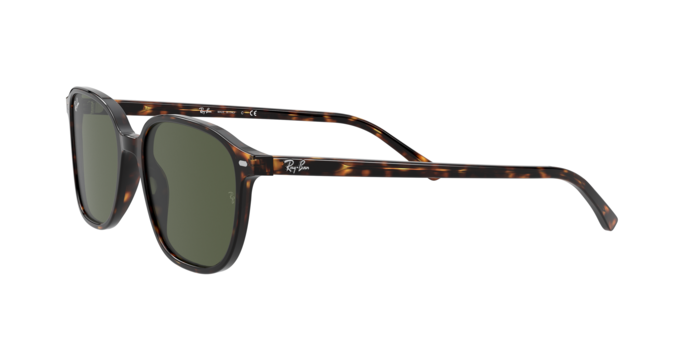 Rayban 2193 LEONARD 902/31 360 visione