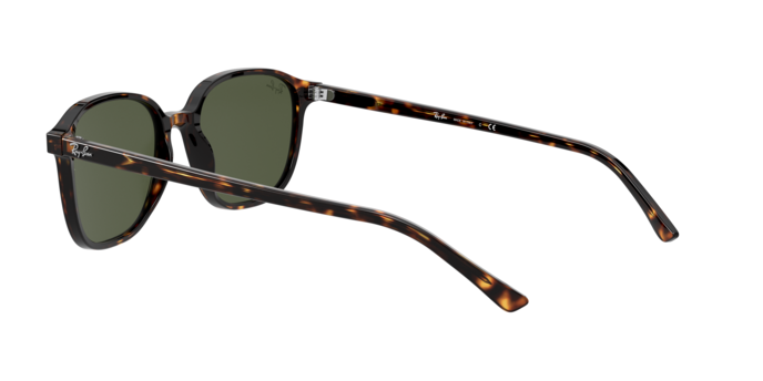 Rayban 2193 LEONARD 902/31 360 visione