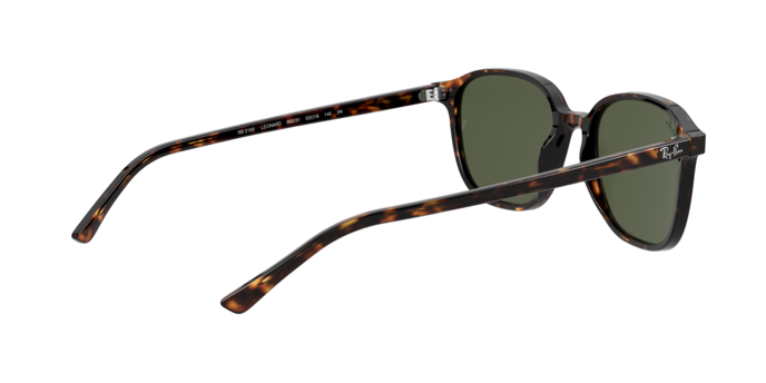 Rayban 2193 LEONARD 902/31 360 visione