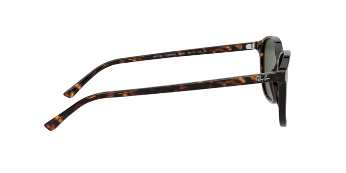 Rayban 2193 LEONARD 902/31 360 visione