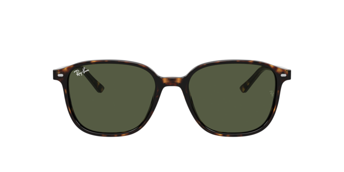 Rayban 2193 LEONARD 902/31 360 visione