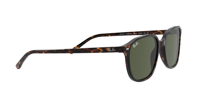 Rayban 2193 LEONARD 902/31 360 visione