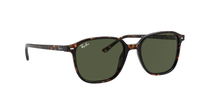 Rayban 2193 LEONARD 902/31 360 visione