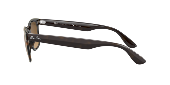 Rayban 4640 710/M2 360 visione