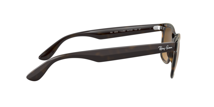 Rayban 4640 710/M2 360 visione