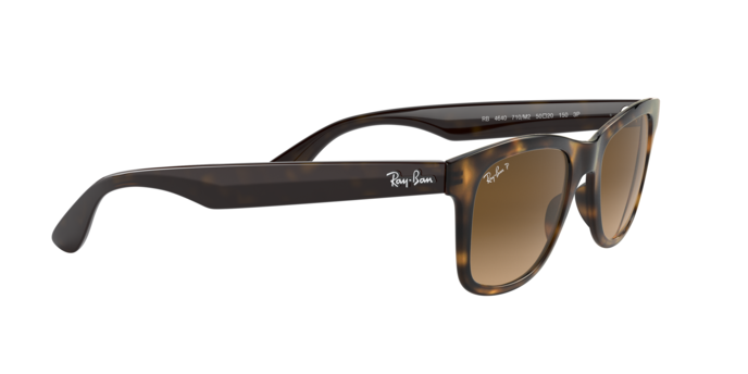 Rayban 4640 710/M2 360 visione