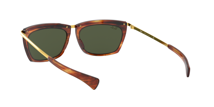 Rayban 2419 OLYMPIAN II 131231 360 visione