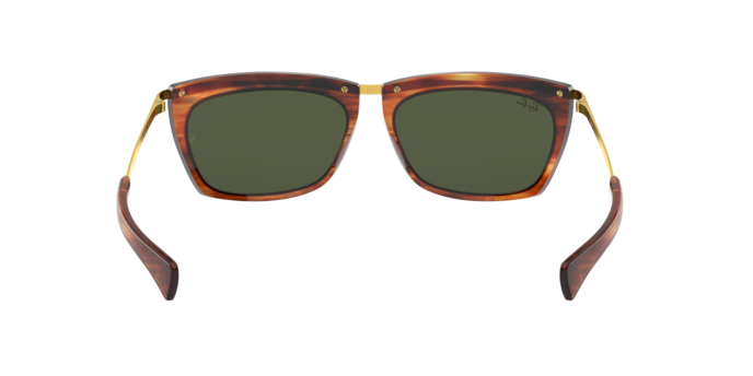 Rayban 2419 OLYMPIAN II 131231 360 visione