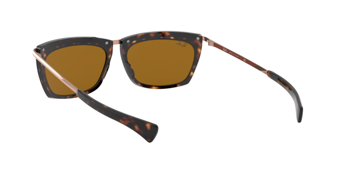 Rayban 2419 OLYMPIAN II 130933 360 visione