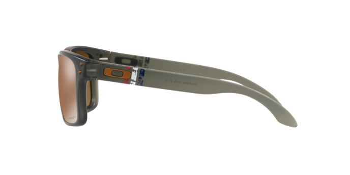 Oakley Holbrook 9102 G6 360 visione