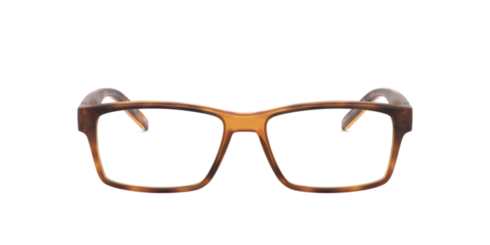 Arnette 7179 LEONARDO 2675 360 visione