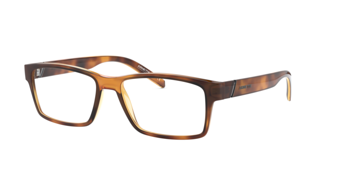 Arnette 7179 LEONARDO 2675 360 visione