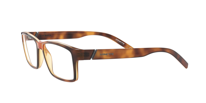 Arnette 7179 LEONARDO 2675 360 visione