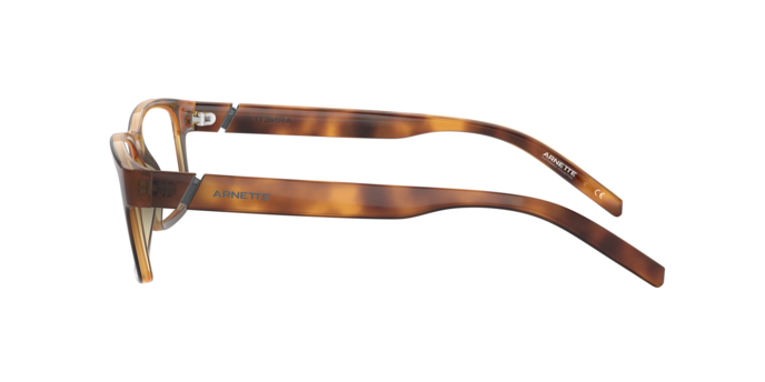Arnette 7179 LEONARDO 2675 360 visione