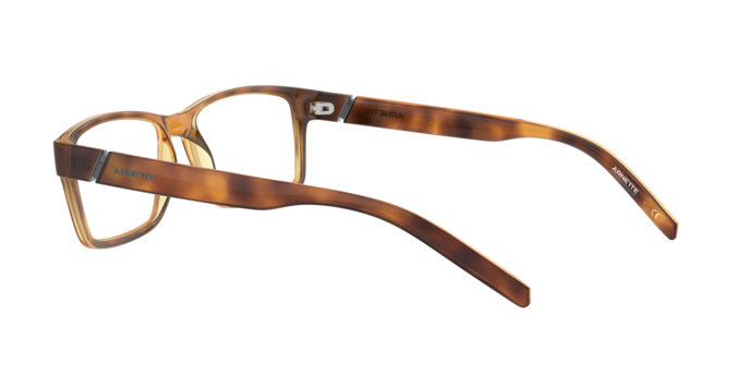 Arnette 7179 LEONARDO 2675 360 visione