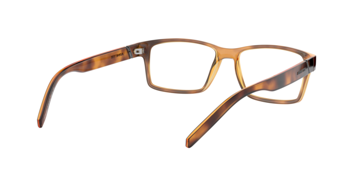 Arnette 7179 LEONARDO 2675 360 visione
