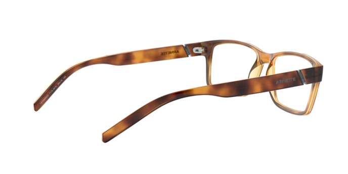Arnette 7179 LEONARDO 2675 360 visione