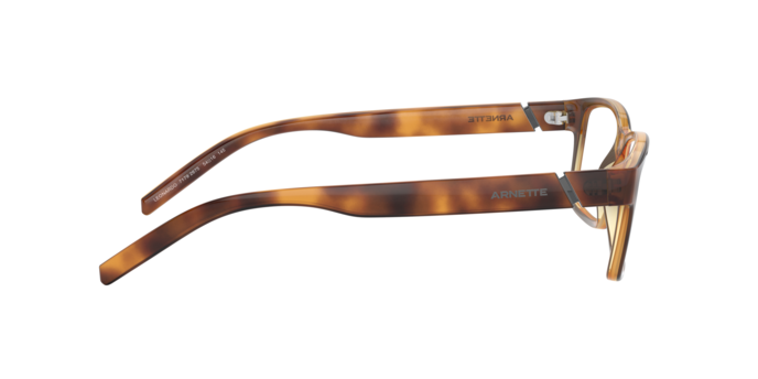 Arnette 7179 LEONARDO 2675 360 visione