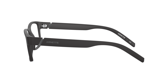 Arnette 7179 LEONARDO 01 360 visione