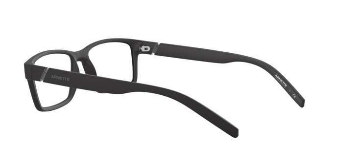 Arnette 7179 LEONARDO 01 360 visione