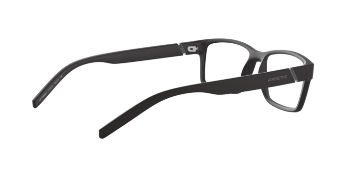 Arnette 7179 LEONARDO 01 360 visione