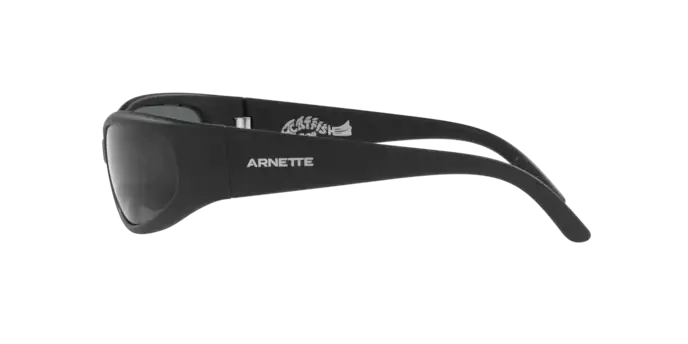 Arnette 4302 CATFISH 275881 360 visione