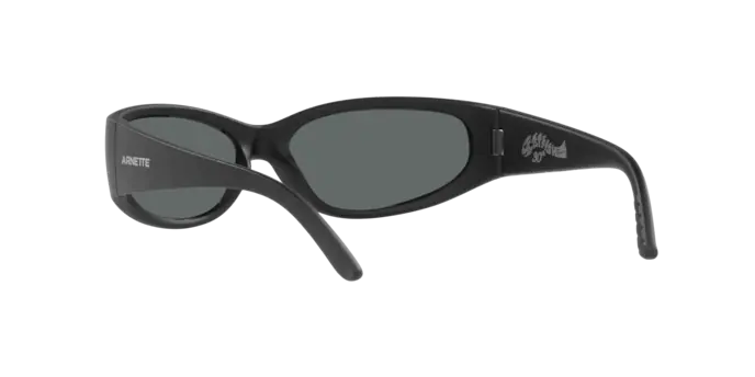 Arnette 4302 CATFISH 275881 360 visione