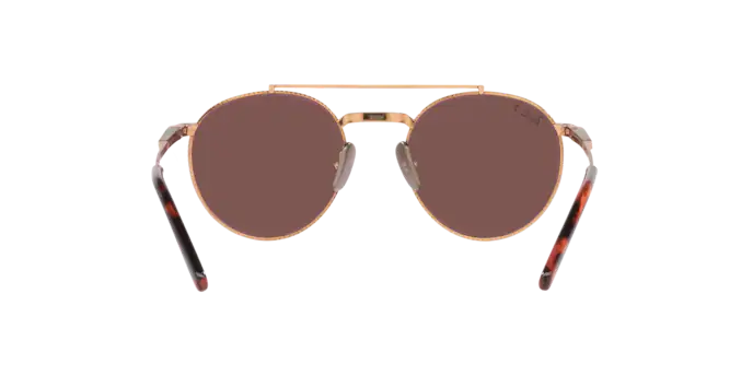 Rayban 8237 ROUND II TITANIUM 3140AF 360 visione