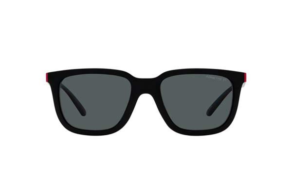 ARNETTE 4306 PLAKA