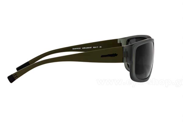 Arnette modello BUSHWICK 4256 di colore 258587