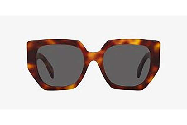 Celine Triomphe CL40239F