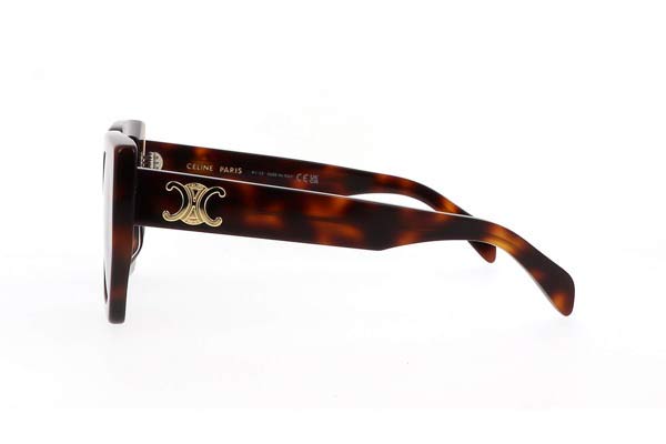 Celine modello Triomphe CL40239F di colore 53A